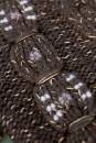 Knitting set Jacket  with knitting instructions in garnwelt box