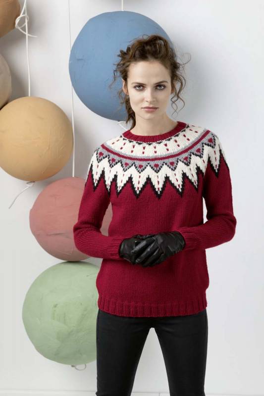 Strickset Pullover mit Rundpasse CARPE DIEM mit Anleitung in garnwelt-Box in Gre S-M