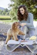 Strickset Hundespielzeug Lang Yarns QUATTRO mit Anleitung in garnwelt-Box one size