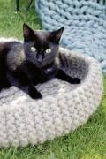 Strickset Korb Lang Yarns SMILLA mit Anleitung in...