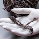 Katia Chamonix 202 braun beige 50g