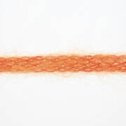 Lang Yarns NEON 61