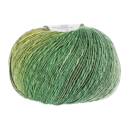 Lang Yarns LINELLO 17
