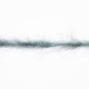Lang Yarns CLOUD 8