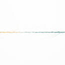 Lang Yarns KID COLOR 8