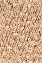 Lang Yarns PAILLETTES 28