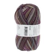 Lang Yarns SUPER SOXX COLOR 4-FACH 341
