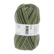Lang Yarns SUPER SOXX COLOR 4-FACH 342