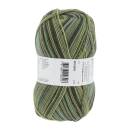Lang Yarns SUPER SOXX COLOR 4-FACH 342
