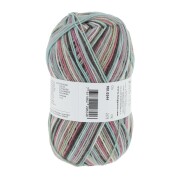 Lang Yarns SUPER SOXX COLOR 4-FACH 344