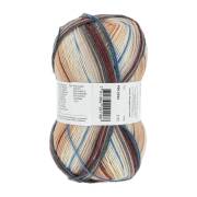 Lang Yarns TWIN SOXX 4-FACH/4-PLY 306