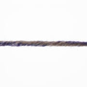 Lang Yarns MERINO+ COLOR 205