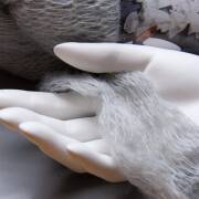 Katia Park Avenue 101 grey 75g