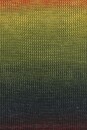 Lang Yarns QUATTRO DÉGRADÉ 9