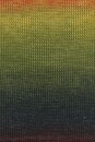 Lang Yarns QUATTRO DÉGRADÉ 9