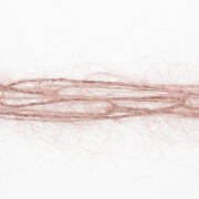 Lang Yarns DELIZIA 9