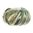 Lang Yarns BOLD COLOR 1