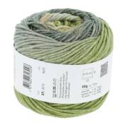 Lang Yarns MERINO 120 DÉGRADÉ 14