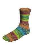Lang Yarns SUPER SOXX COLOR 4-FACH 358