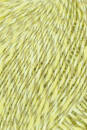 Lang Yarns PRIDE 13