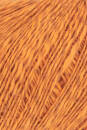 Lang Yarns PRIDE 59