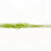 Lang Yarns SAKURA 16