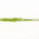 Lang Yarns SAKURA 16