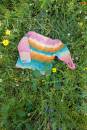 Strickset Pullover Top Down Lang Yarns BABY COTTON COLOR mit Anleitung in garnwelt-Box