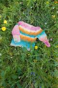 Strickset Pullover Top Down Lang Yarns BABY COTTON COLOR mit Anleitung in garnwelt-Box 62