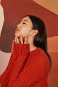 Knitting instructions Sweater 278_46 LANGYARNS CARPE DIEM as download