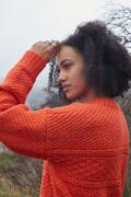 Strickset Sweater WAD WOOLADDICTS HONESTY THRILL SEEKER mit Anleitung in garnwelt-Box S