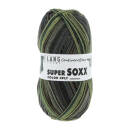 Lang Yarns SUPER SOXX COLOR 4-FACH 405