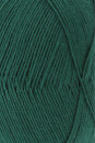 Lang Yarns SUPER SOXX 6-FACH/6-PLY 118