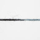 Lang Yarns SUPER SOXX COLOR 4-FACH 429