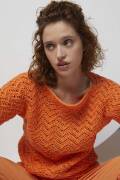 Strickset Pullover Lang Yarns Amira Light AMINA mit Anleitung in garnwelt-Box S