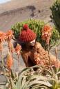 Knitting instructions Hat WAD-013-28 WOOLADDICTS Fire as download