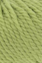Lang Yarns FIRE 117