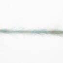 Lang Yarns CLOUD 16