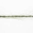 Lang Yarns HONOR 118