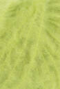 Lang Yarns DESIRE 116