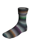 Lang Yarns SUPER SOXX SILK COLOR 4-FACH 466