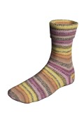 Lang Yarns SUPER SOXX COLOR 4-FACH 478