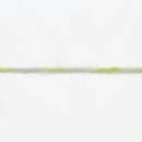 Lang Yarns TWIN SOXX 4-FACH/4-PLY 458