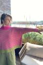 Knitting instructions Sweater 8001-016 LANGYARNS Baby Alpaca as download