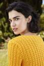 Strickset Kurzarmpullover WAD WOOLADDICTS Bliss CLIMBING IVY mit Anleitung in garnwelt-Box