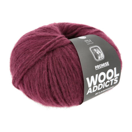 Lang Yarns PROMISE 62