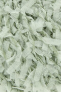 Lang Yarns SALSA 91