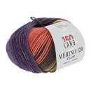 Lang Yarns MERINO 120 COLOR