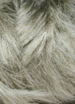 Lang Yarns SOFTHAIR 26