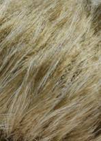 Lang Yarns SOFTHAIR 39